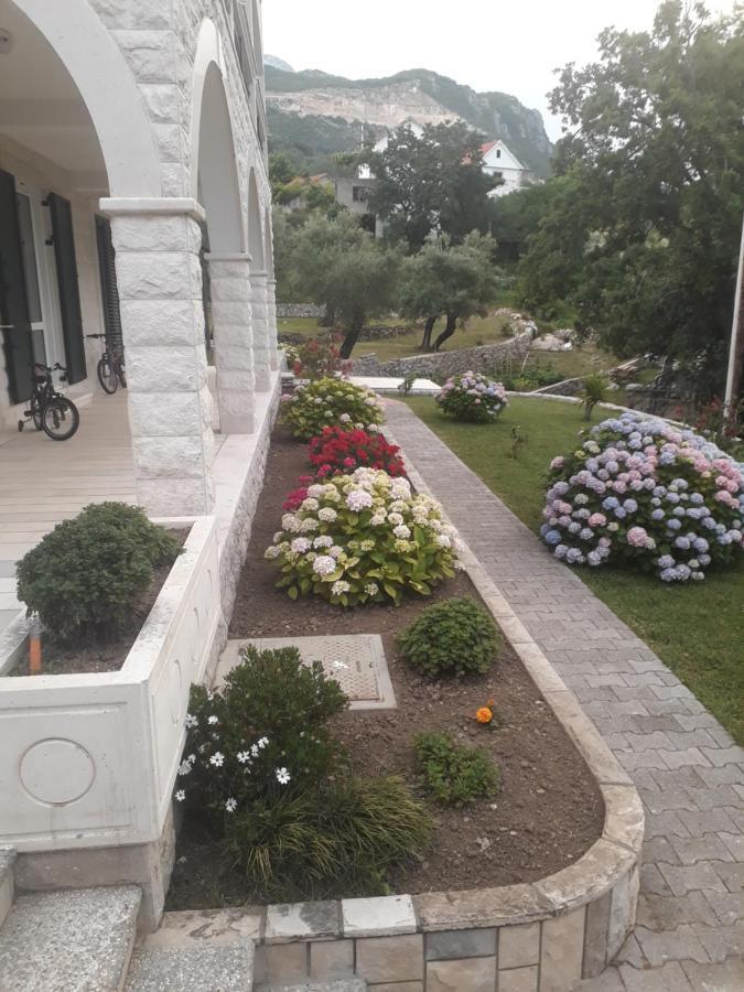 Apartmani Andrea Χέρτσεγκ Νόβι Εξωτερικό φωτογραφία
